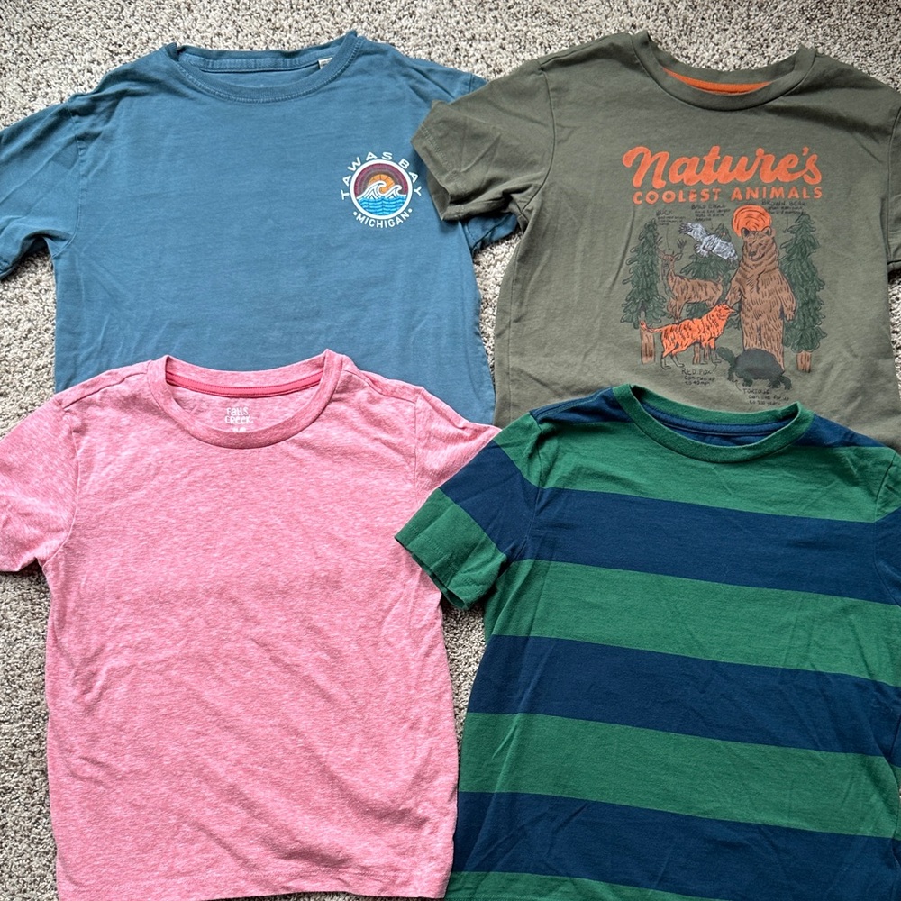 4 - Boys size 8 tee shirts -  Nature's Coolest Animals, stripes, solid, Tawas MI